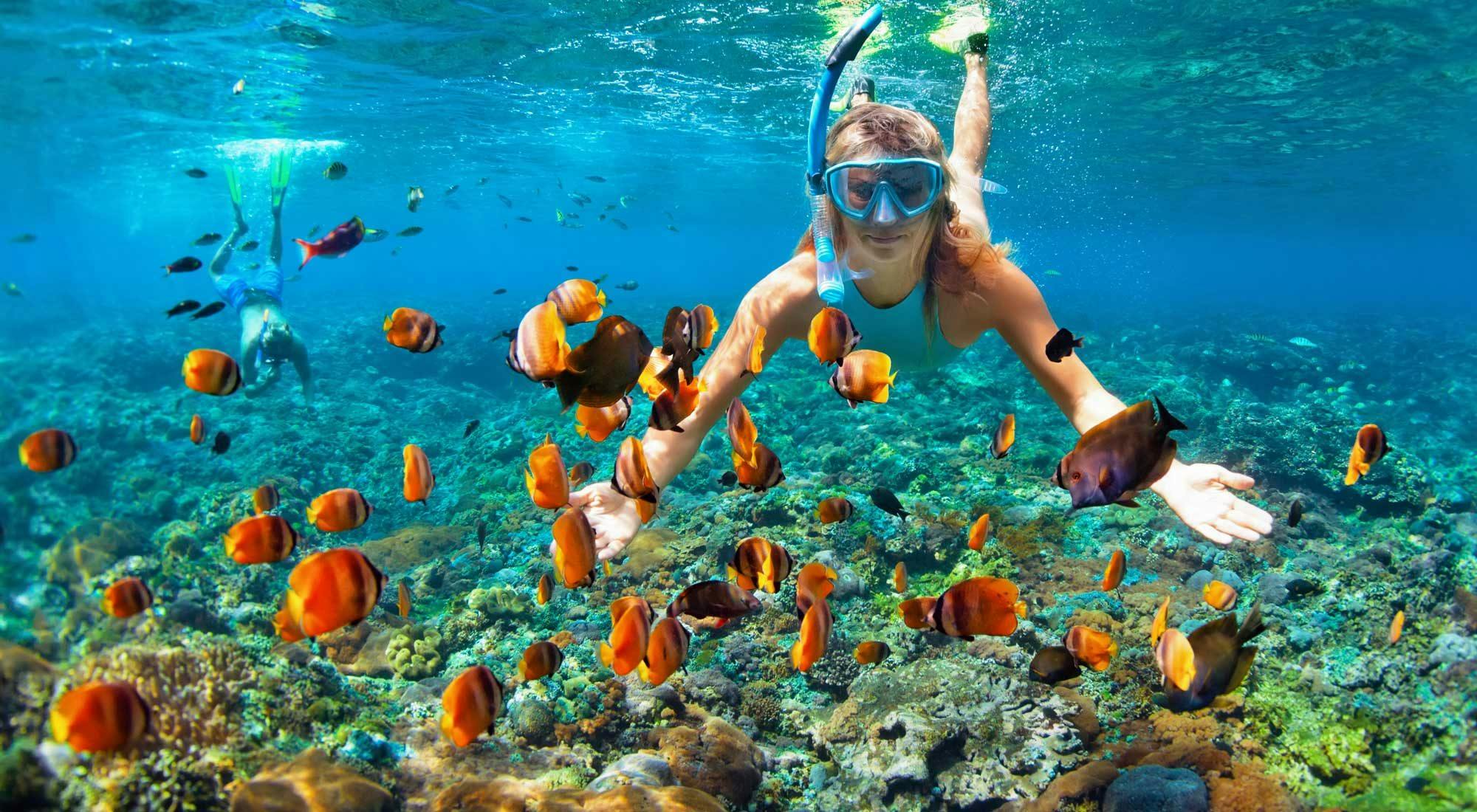 Guided Tahiti Snorkelling Tour