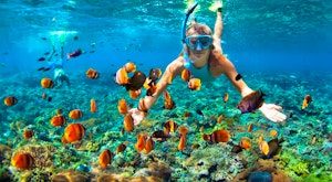Guided Tahiti Snorkelling Tour