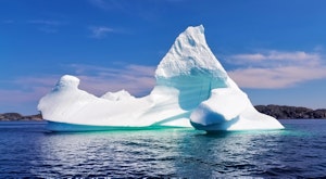 Twillingate Iceberg Tour