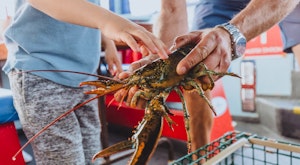 Shediac Lobster Tour