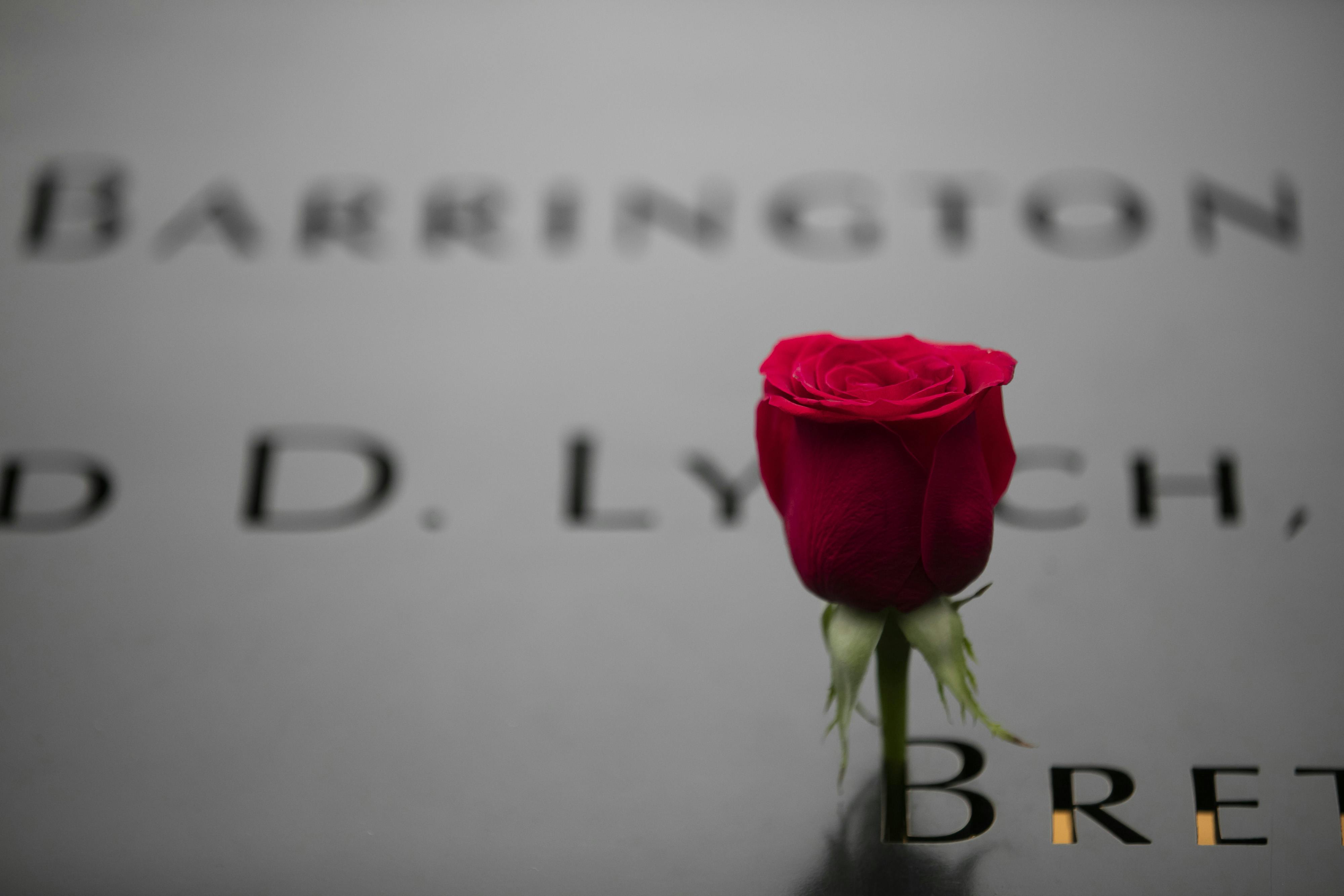 Early Access 9/11 Memorial & Museum Tour