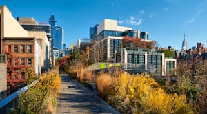The Highline and Chelsea Private Walking Tour