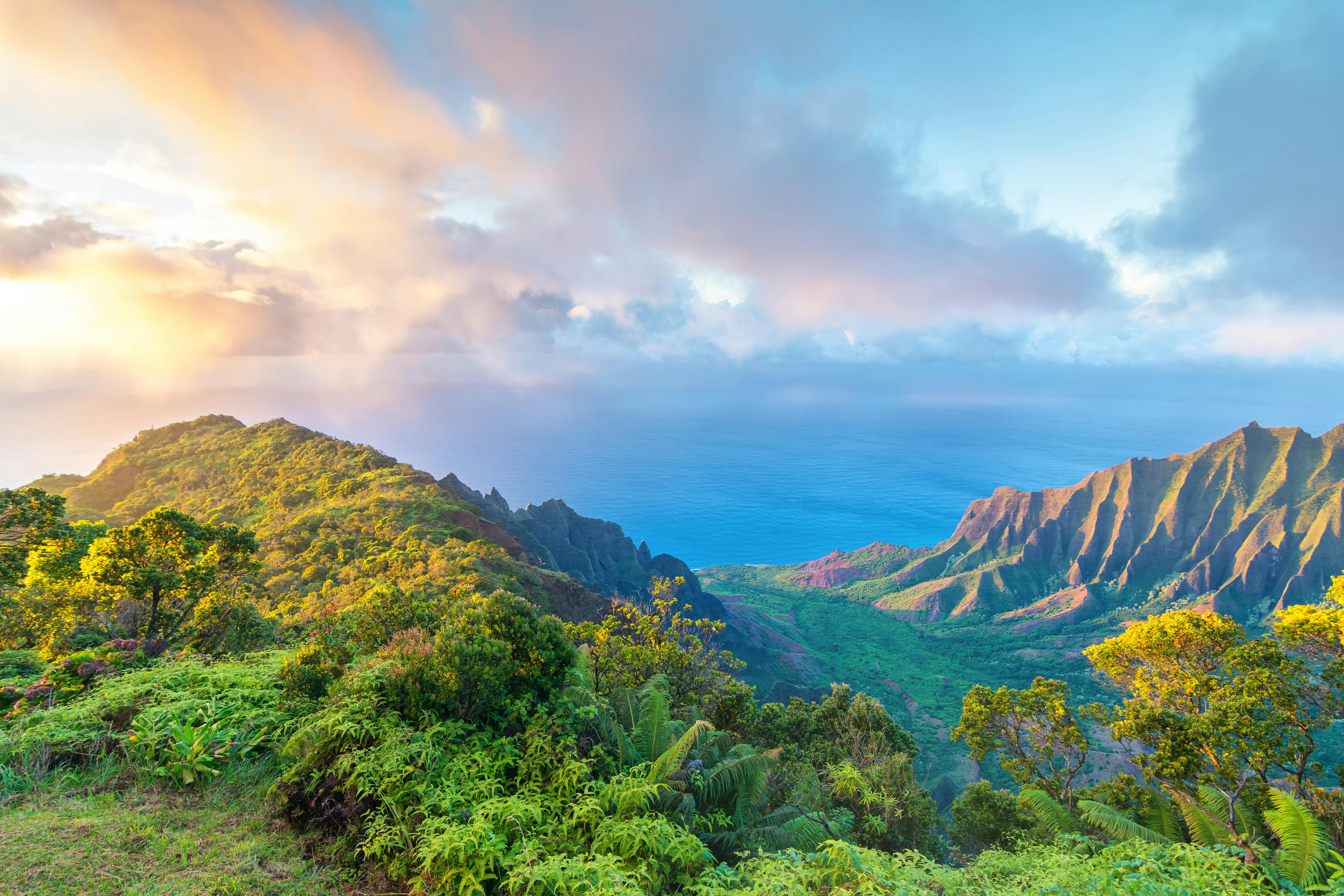 Waimea Canyon and Kokee Lookout
