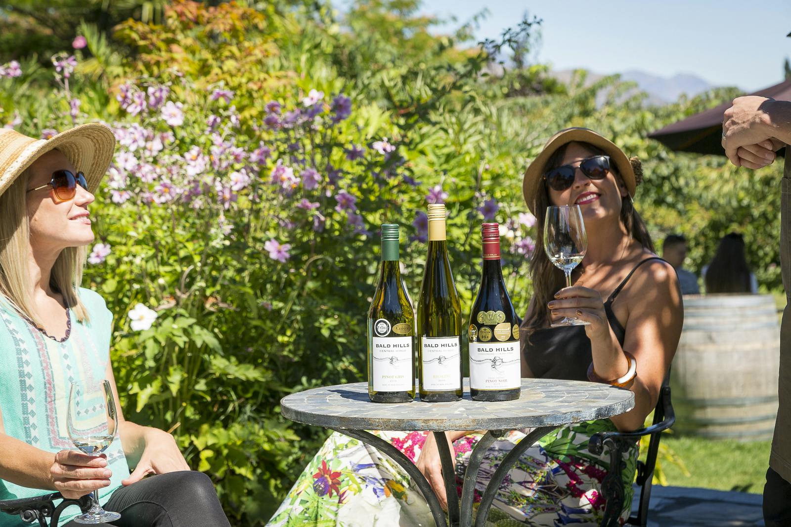 Full Day Gourmet and Wine Tour