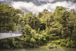 Four Day Hollyford Guided Walk