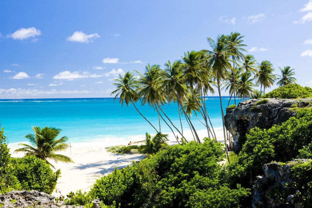 Planning Your Perfect Escape: Discover the Best Time to Visit Barbados