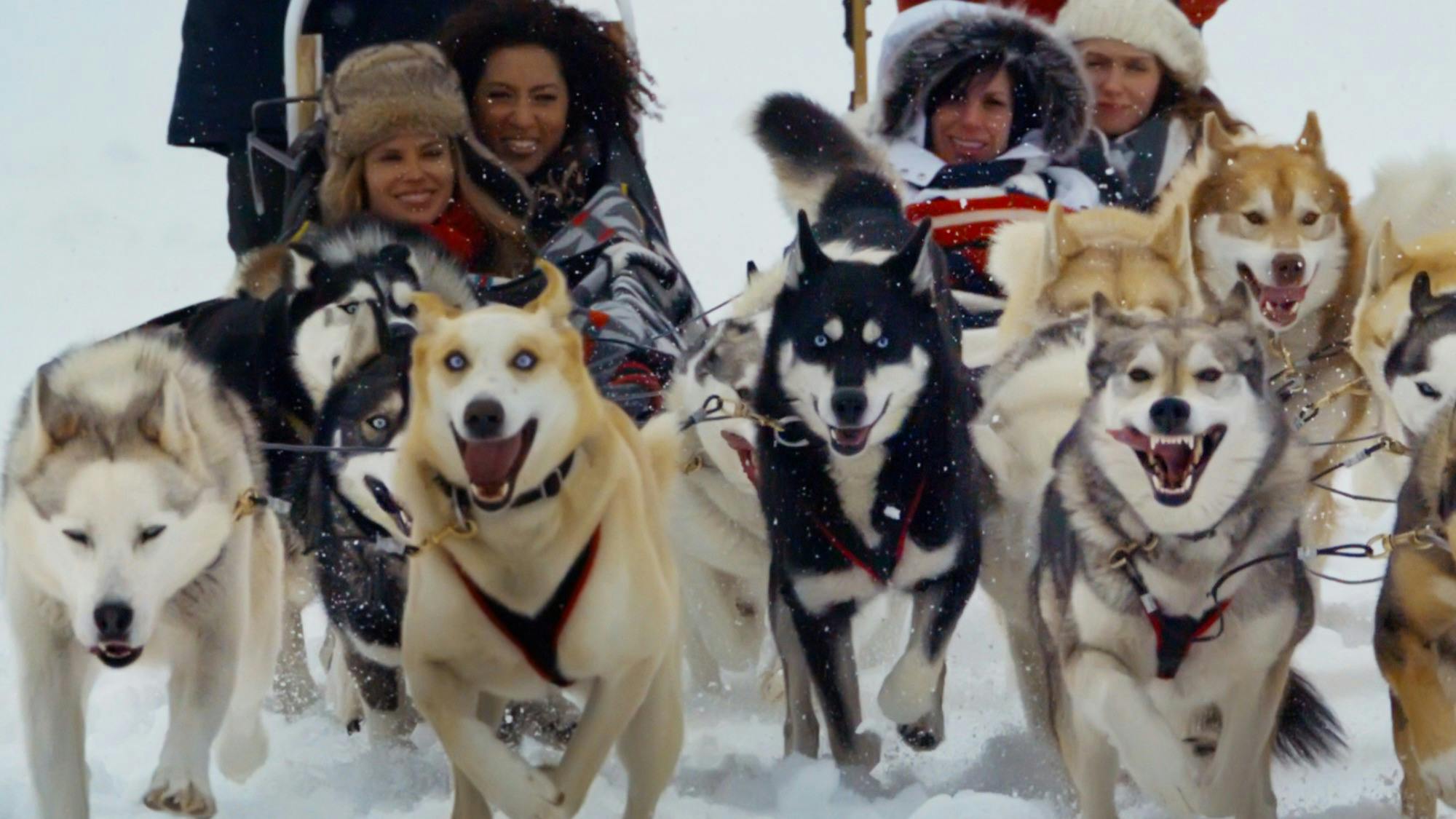 Jasper Dog Sledding - 60 Minute Musher