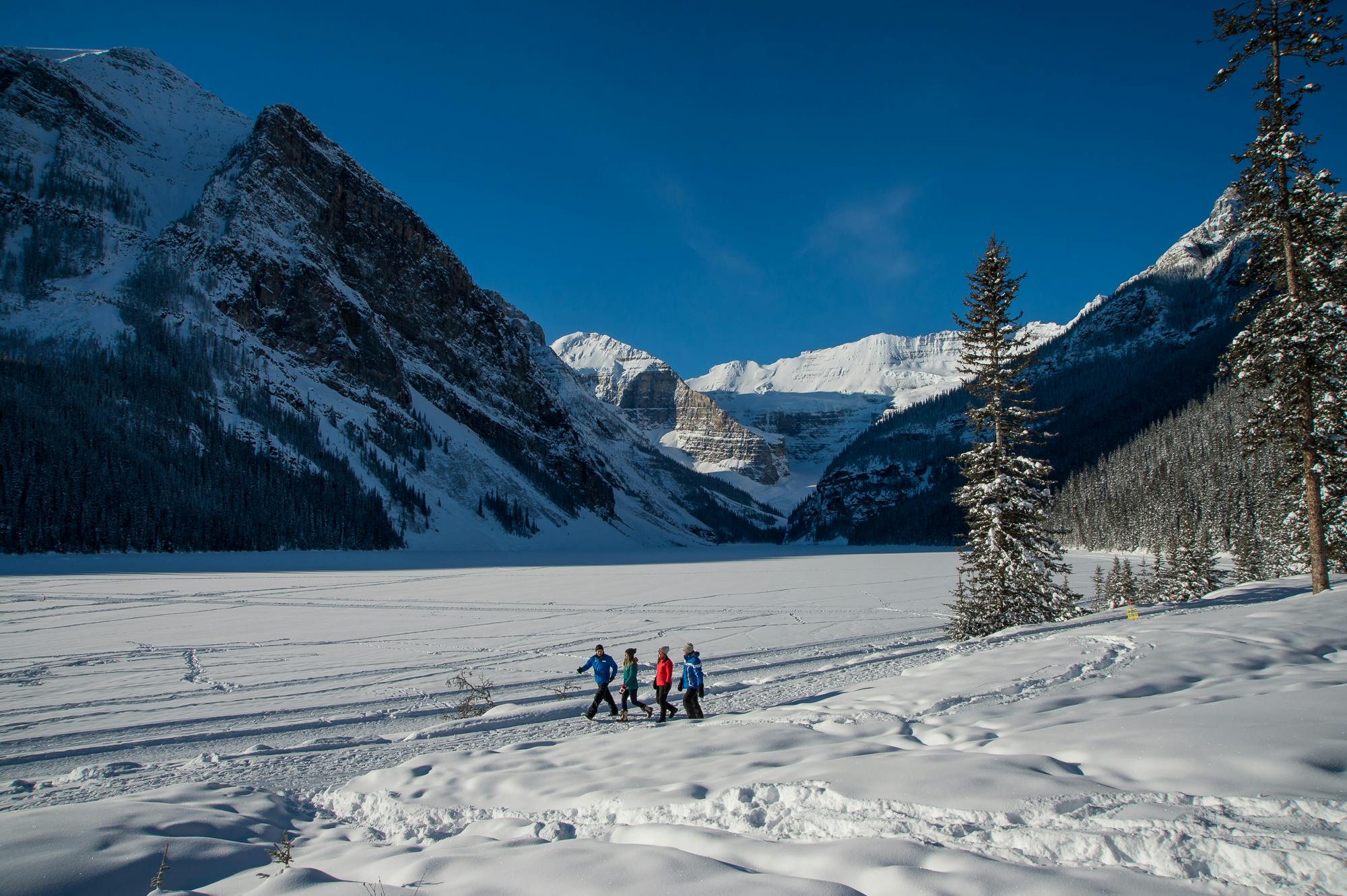 Discover Lake Louise & Snowshoeing