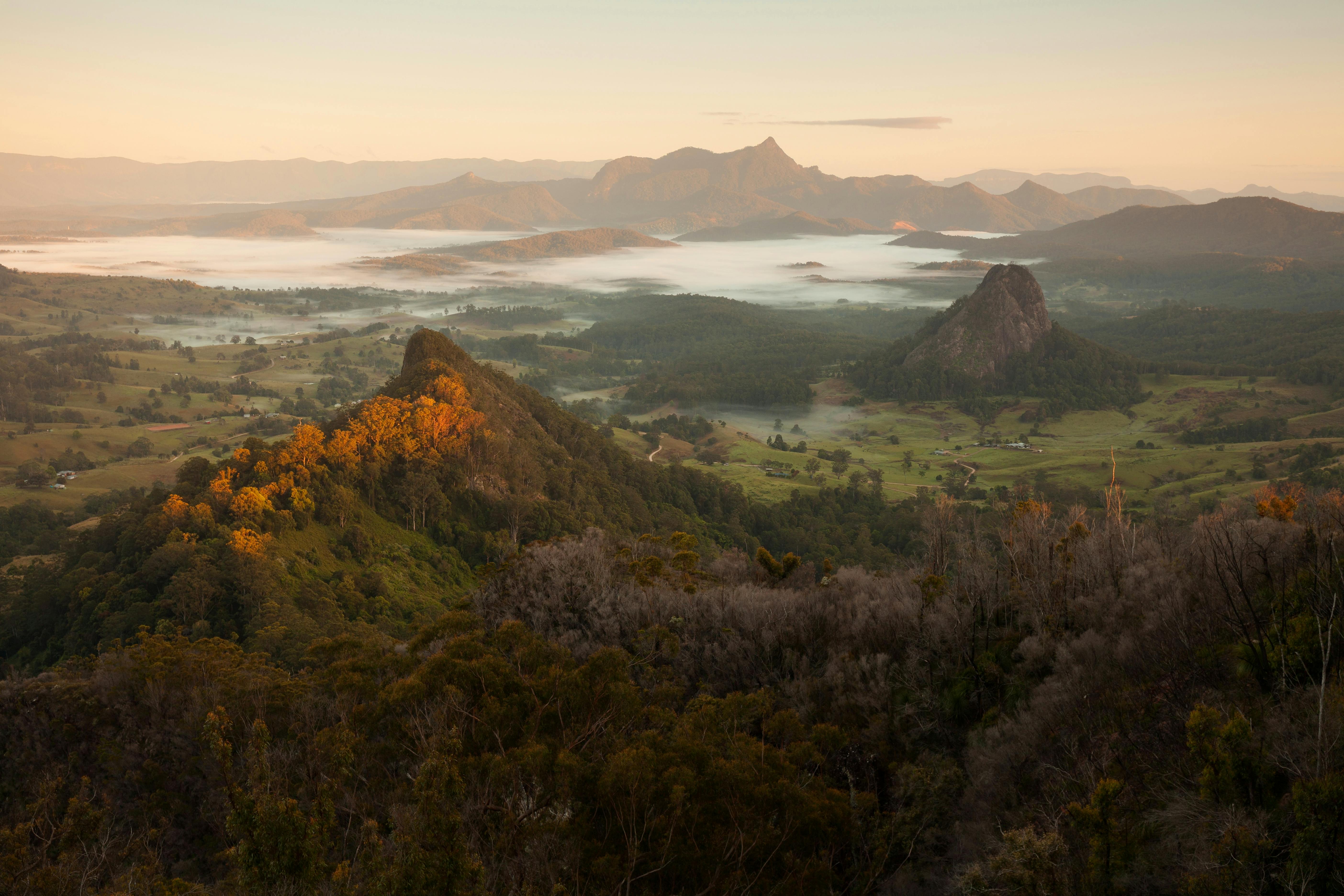 Big Day Out Byron Hinterland Tour