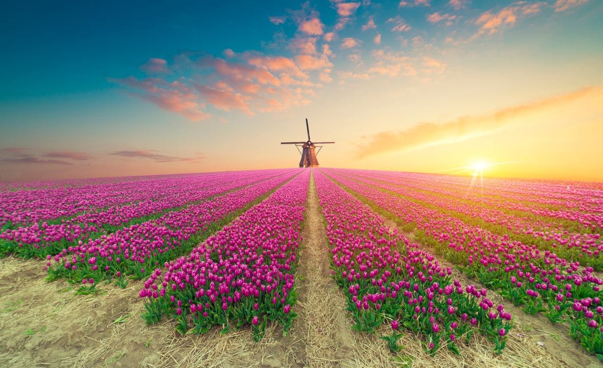 Netherlands