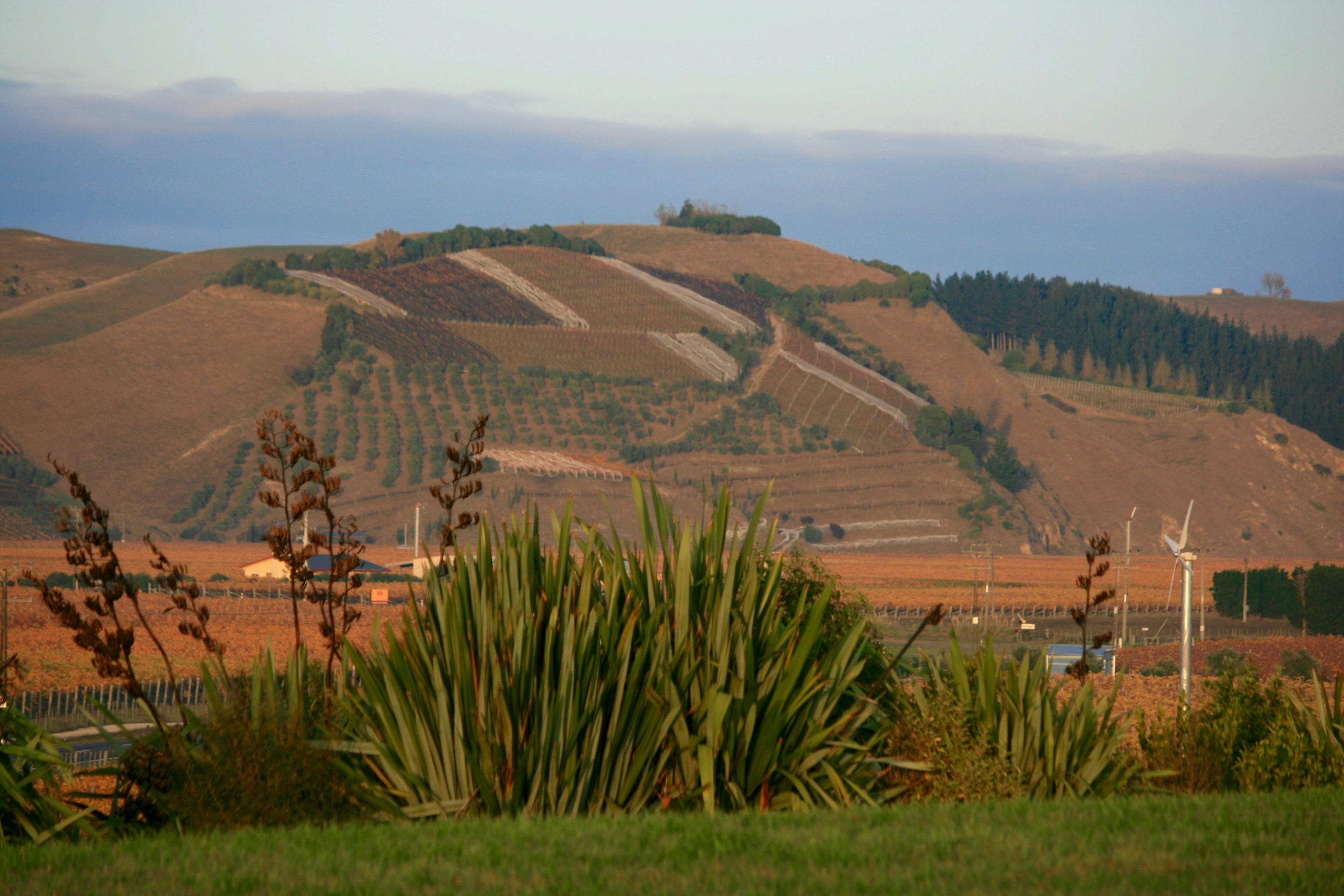 Panoramic Country with a Taste of Wine Tour image 1