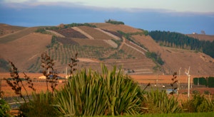 Panoramic Country with a Taste of Wine Tour