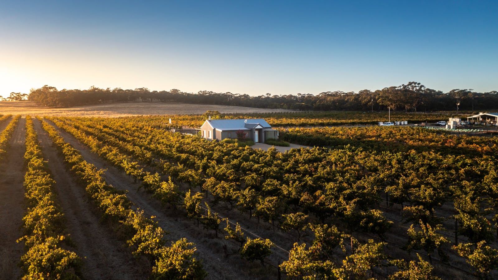 Full Day Uncork the Barossa Valley