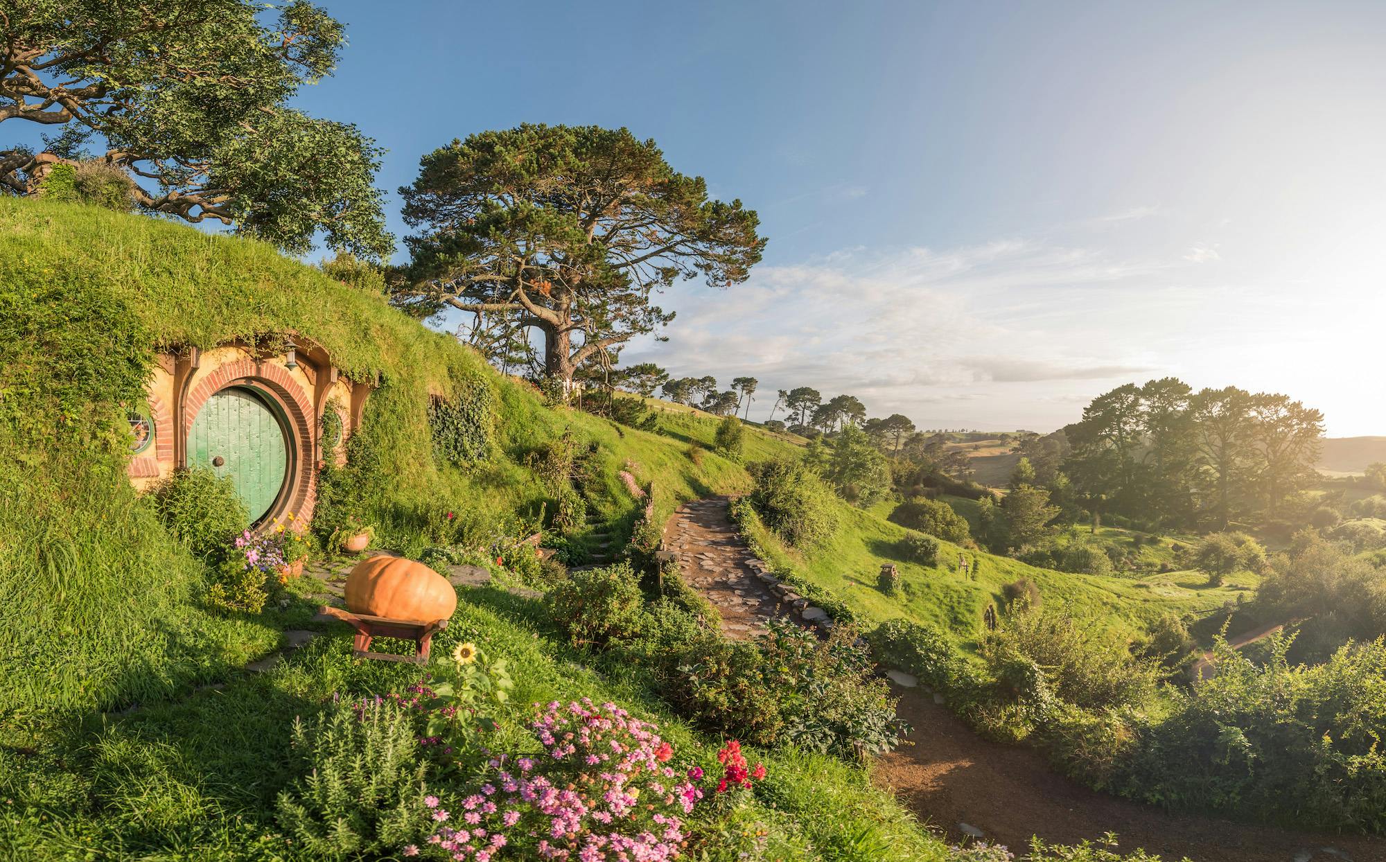 Hobbiton Movie Set Tour image 1