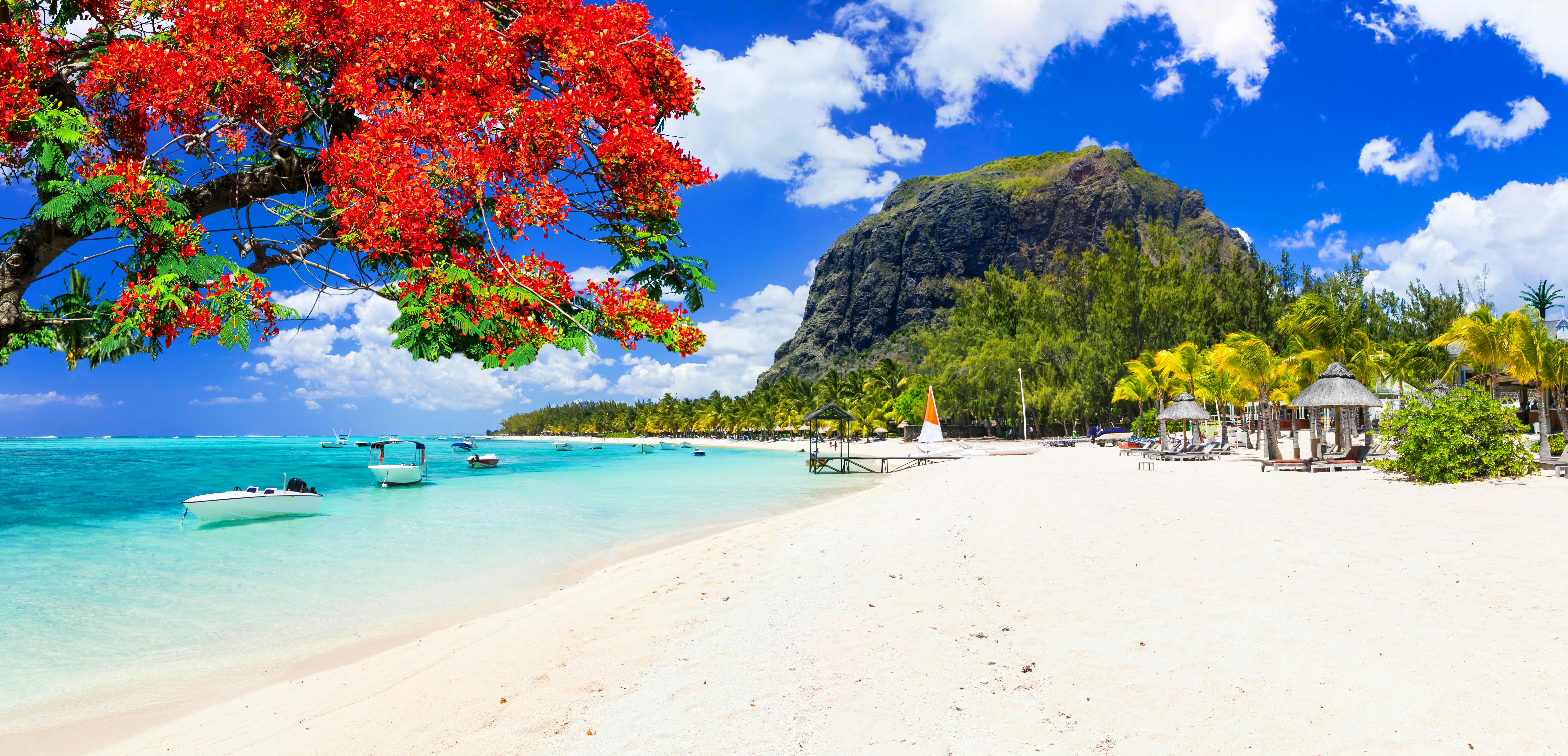 The best Time to Visit Mauritius 