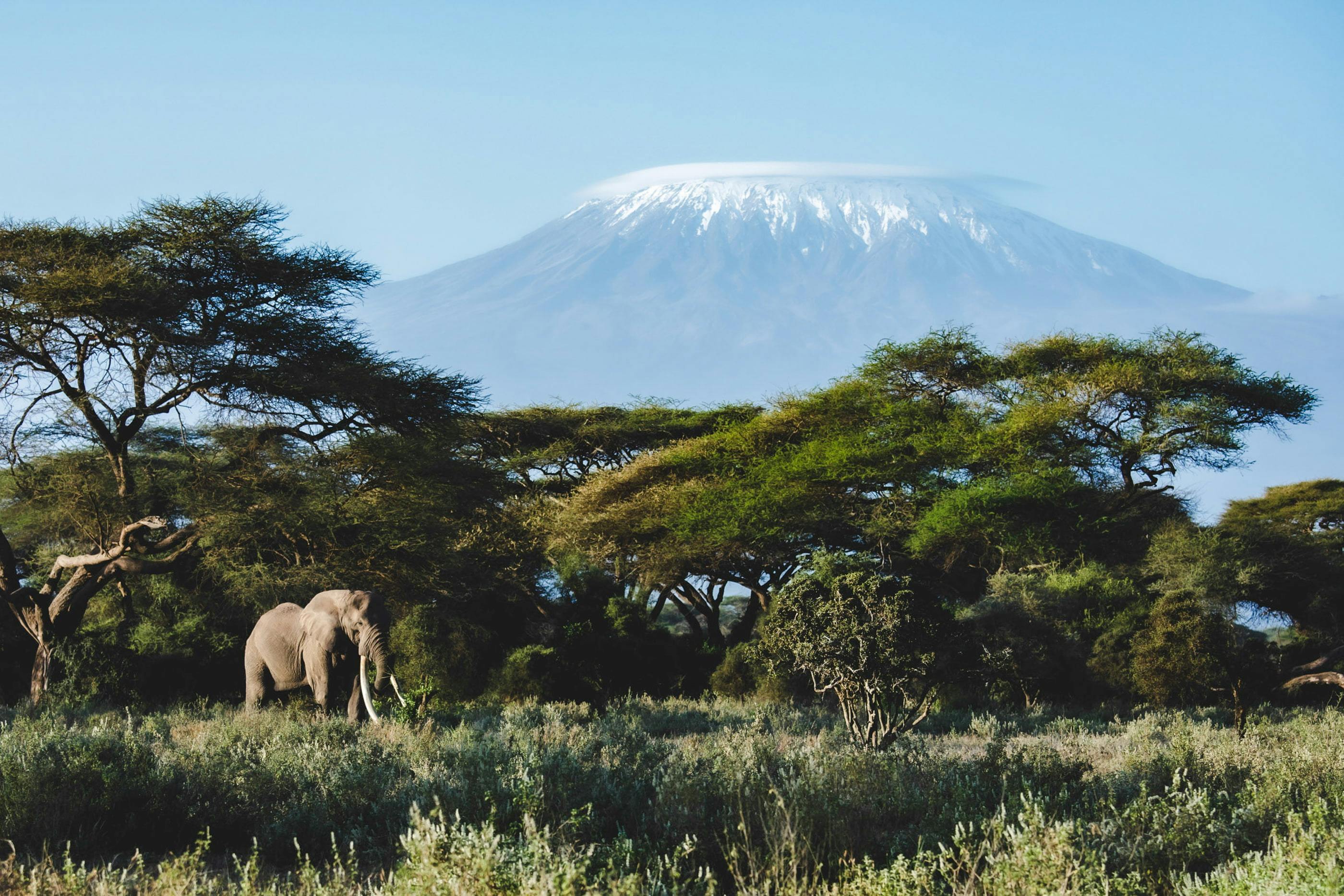Amboseli National Park