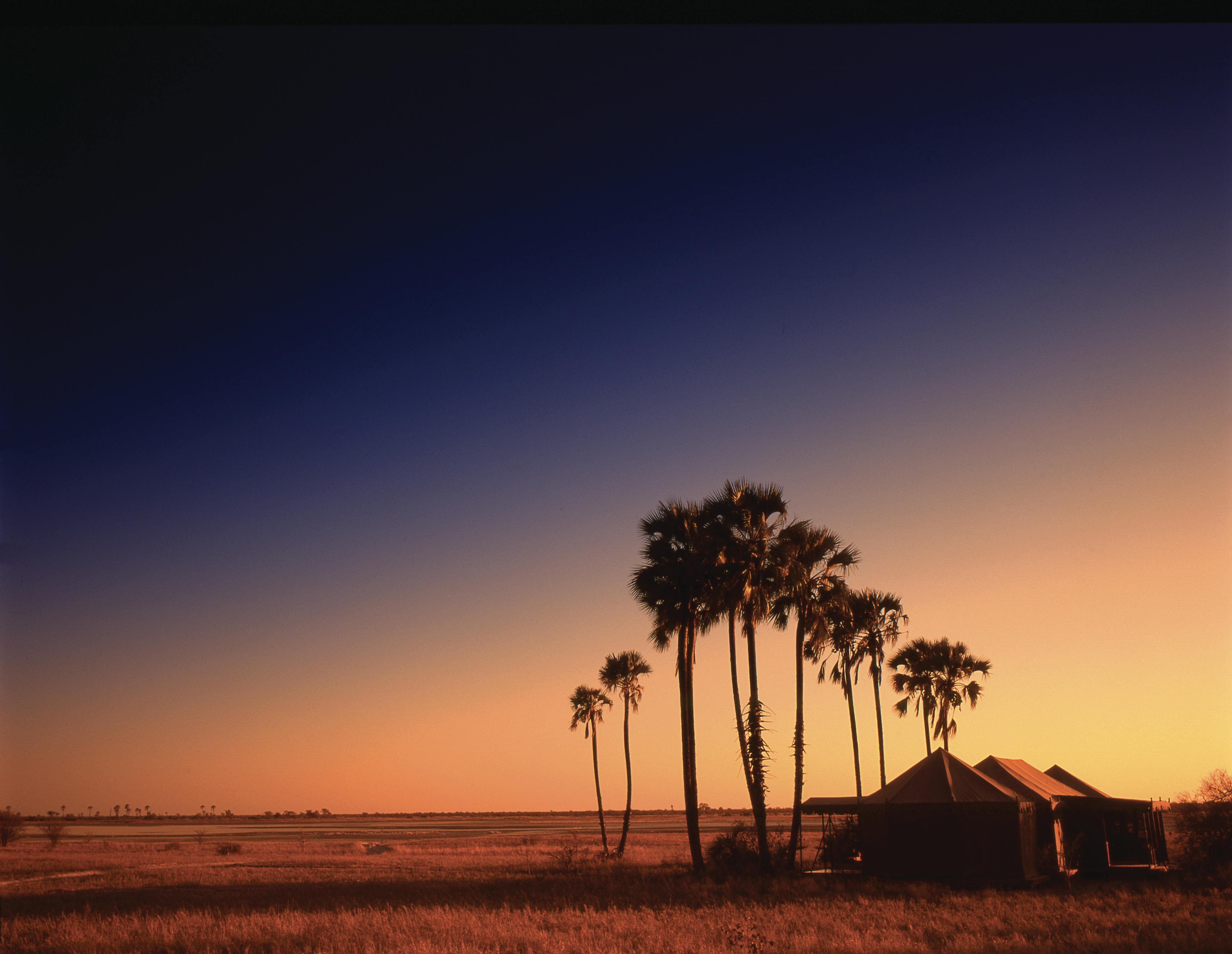 Our Top 50 Travel Experiences from Around the World