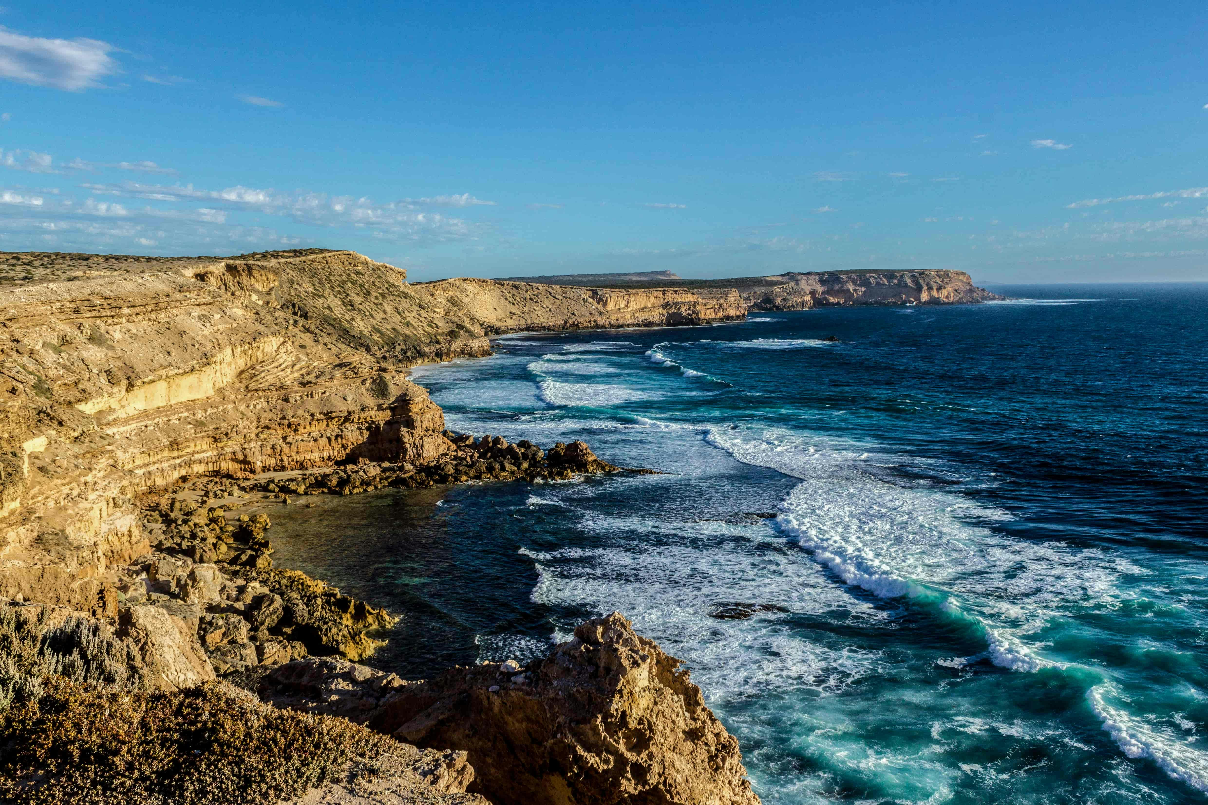 Exceptional Port Lincoln, Seafood and Wildlife Tour