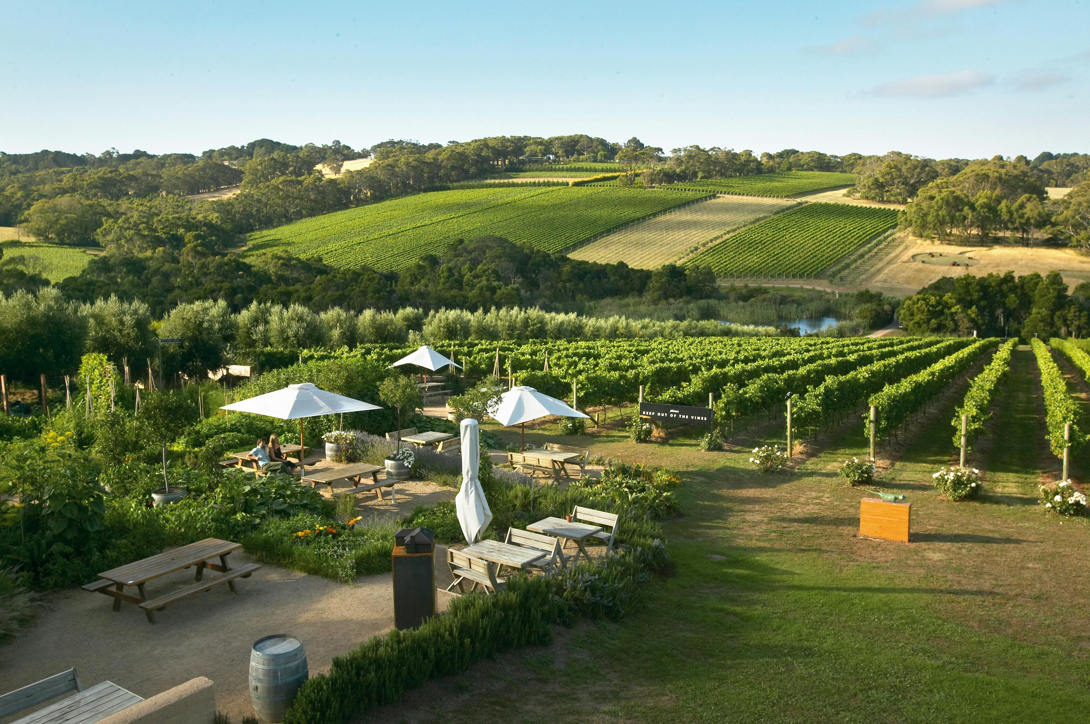 Mornington Peninsula Local Tour – Private Day Tour