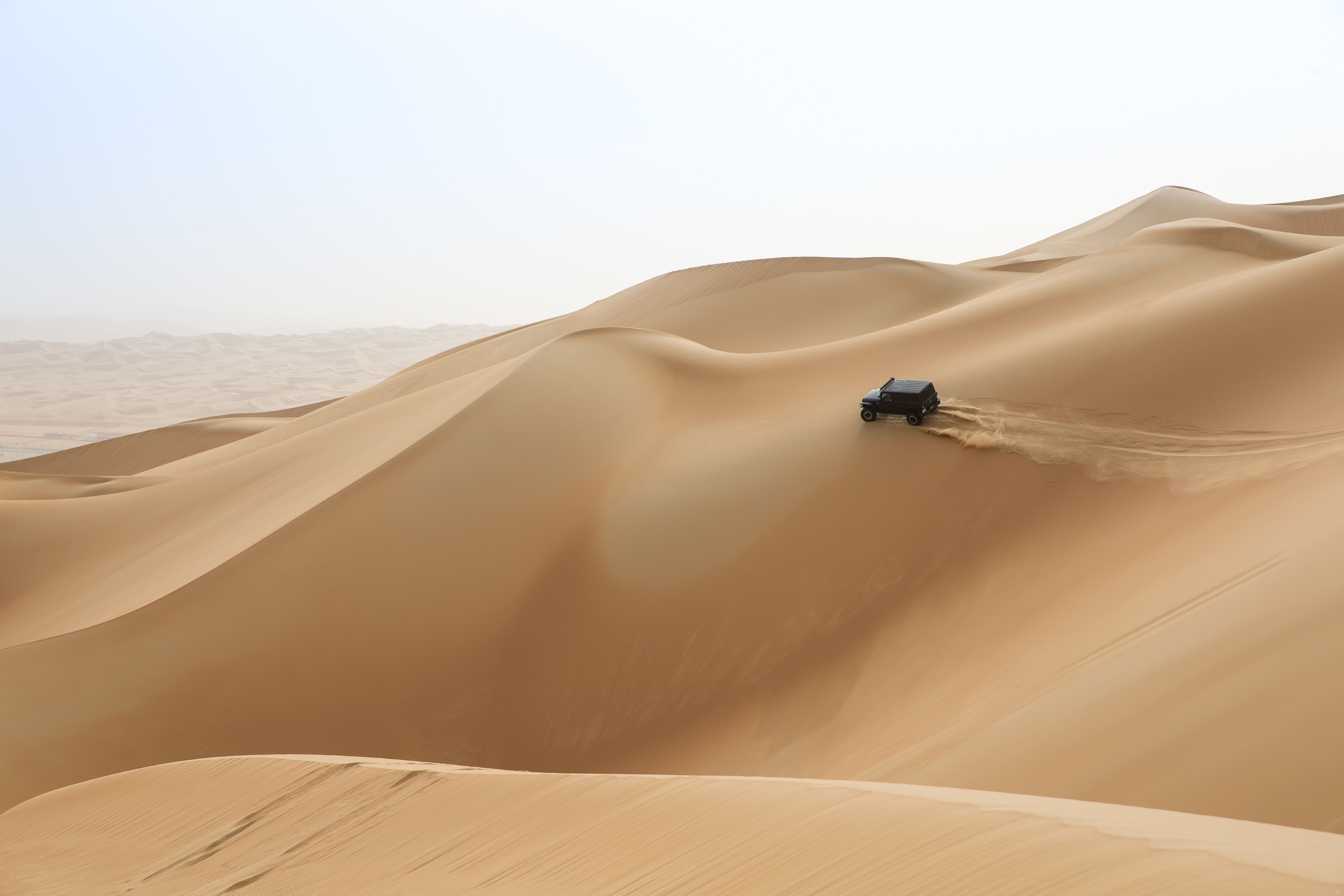 Abu Dhabi dunes