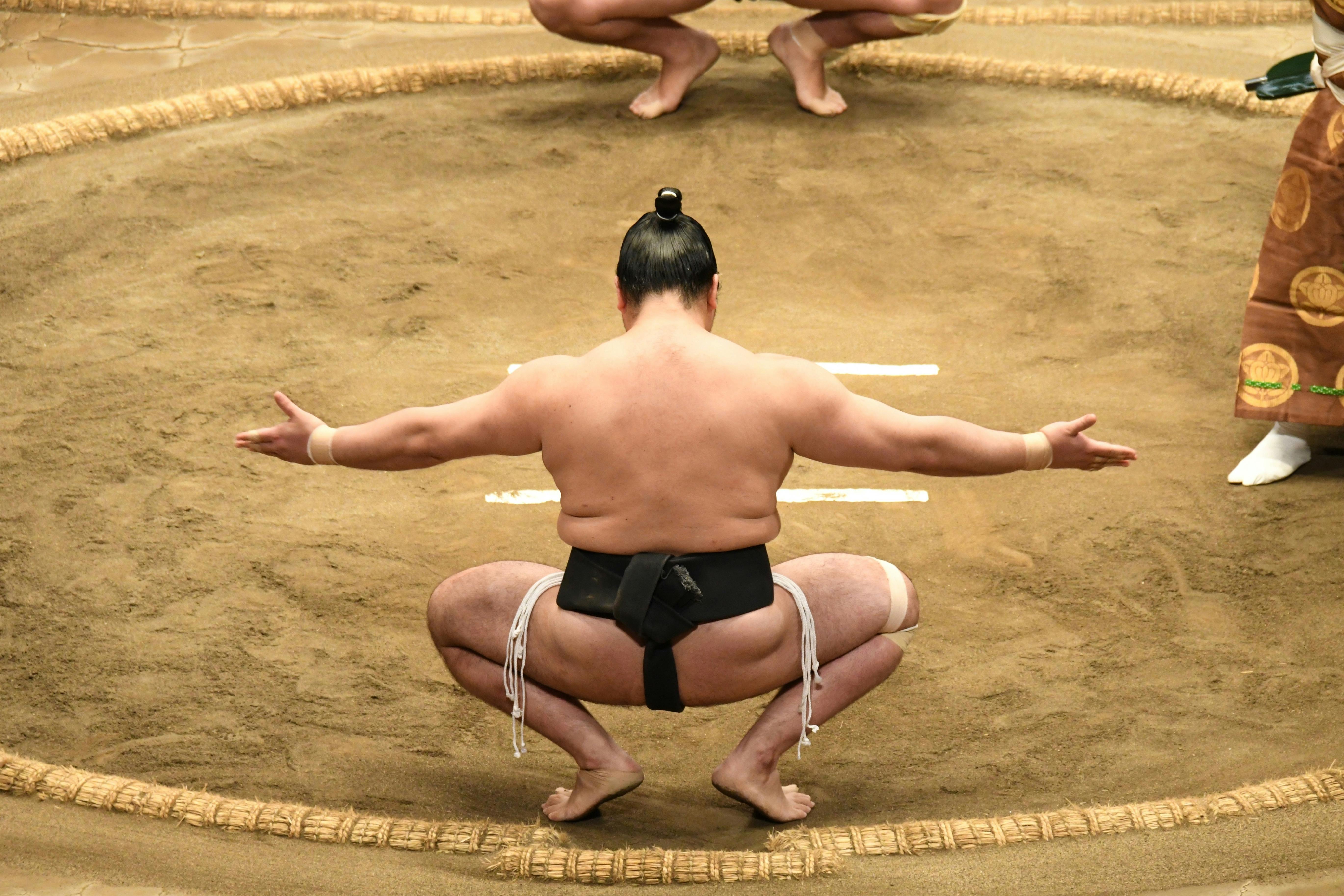 Sumo Experience