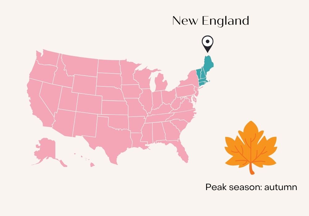 New England map