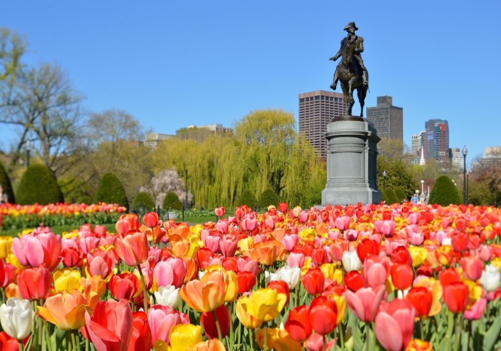 Boston Public Garden, spring