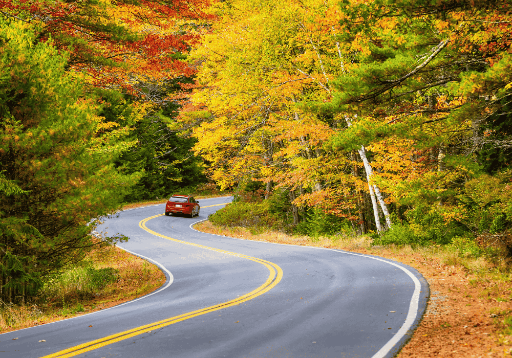 New England Road Trip