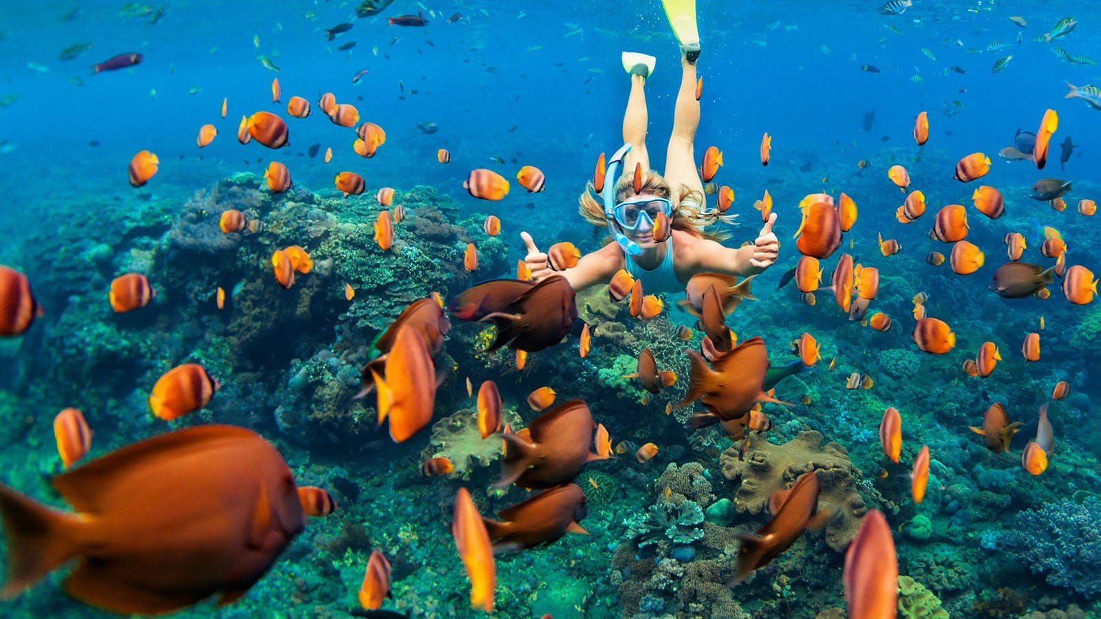 Best Things to Do in St Vincent & The Grenadines