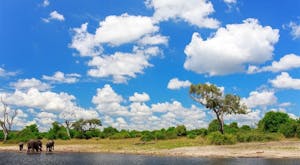 Botswana and Sanctuary Retreats: Safari Adventure