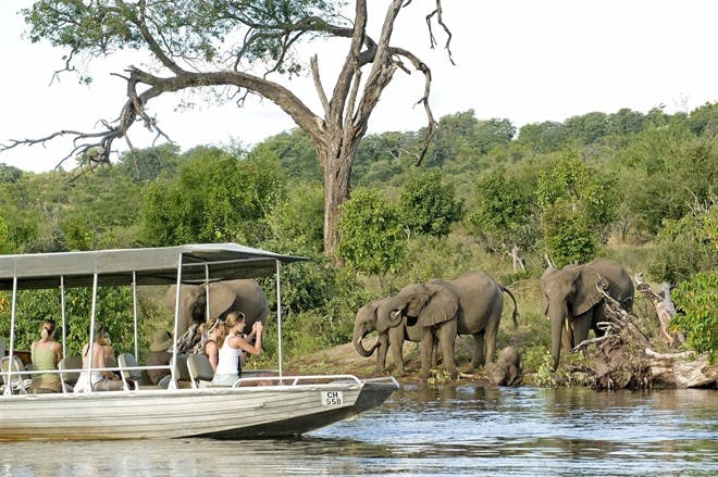 Chobe National Park