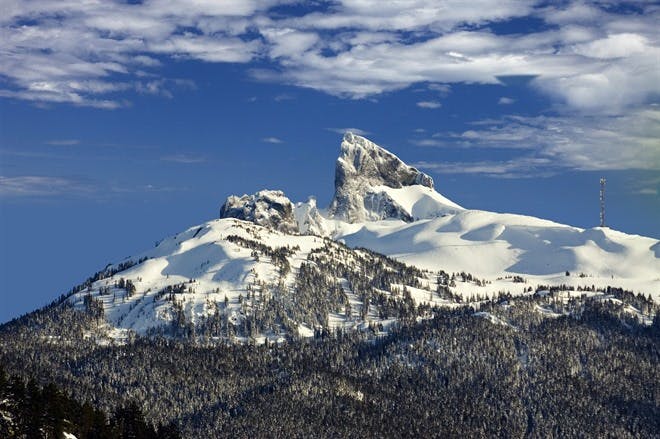Victoria to Whistler by Floatplane