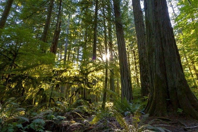 Sonora Resort - Campbell River - Tofino (166 miles + boat)