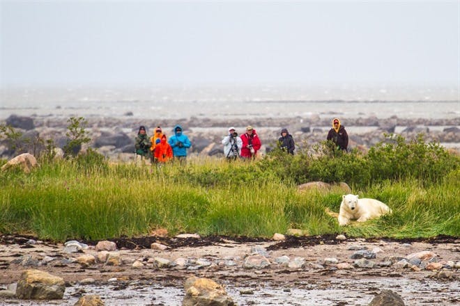 Wilderness Activities From Seal River Heritage Lodge