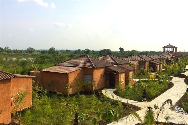 Doha - Nagpur - Tadoba