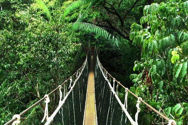 Kinabalu Park – Poring Hot Springs – Sukau