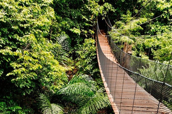 Kota Kinabalu – Kinabalu Park