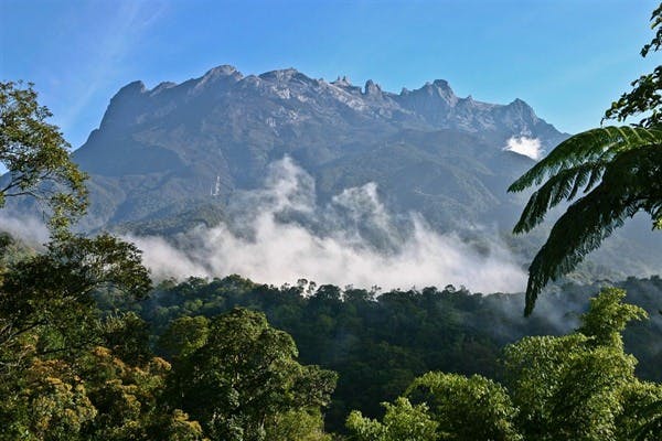 Kinabalu Park - Sepilok