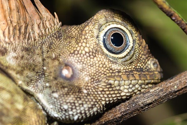 Kuala Lumpur - Taman Nagara