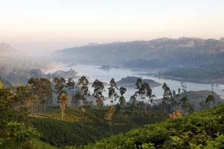 Kandy to Tea Country in the Central Highlands