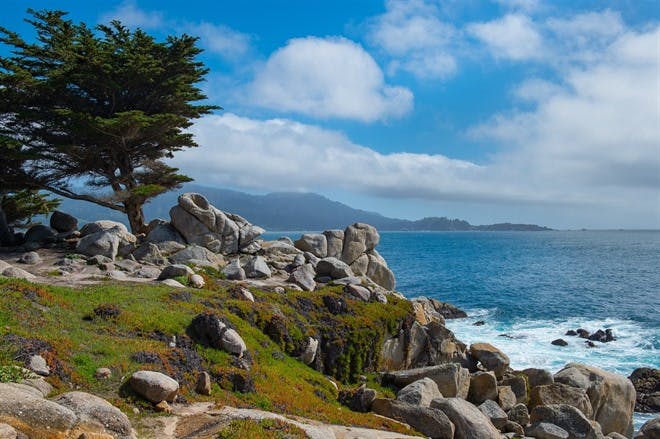 San Francisco to Carmel (130 miles)