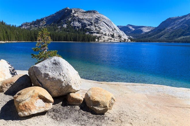 Mammoth Lakes to Fish Camp, Yosemite National Park (130 miles)