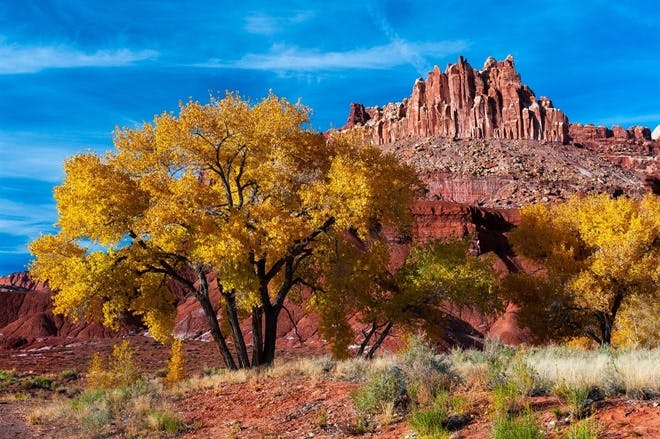 Salt Lake City - Capitol Reef National Park (220 miles)