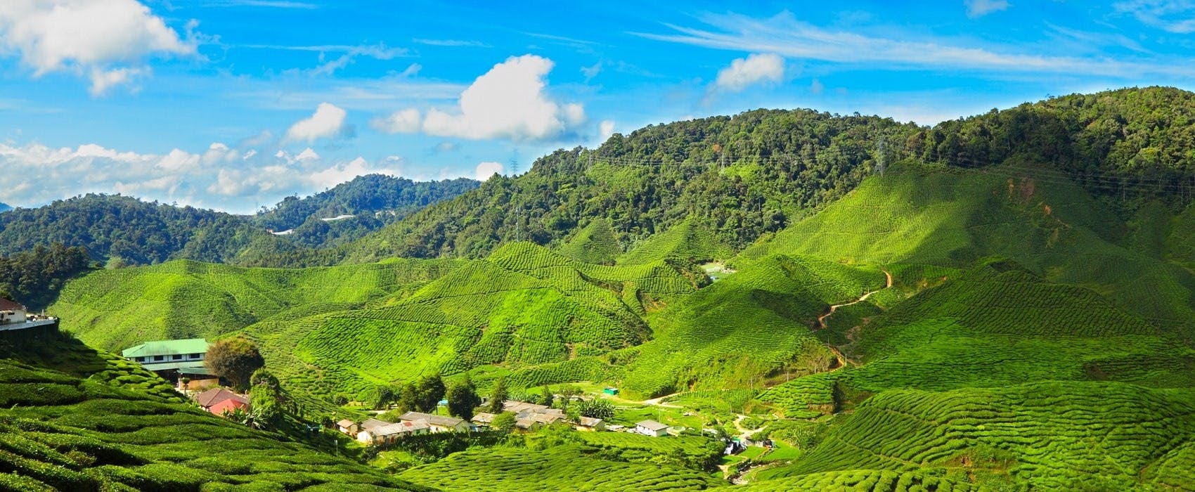 Cameron Highlands