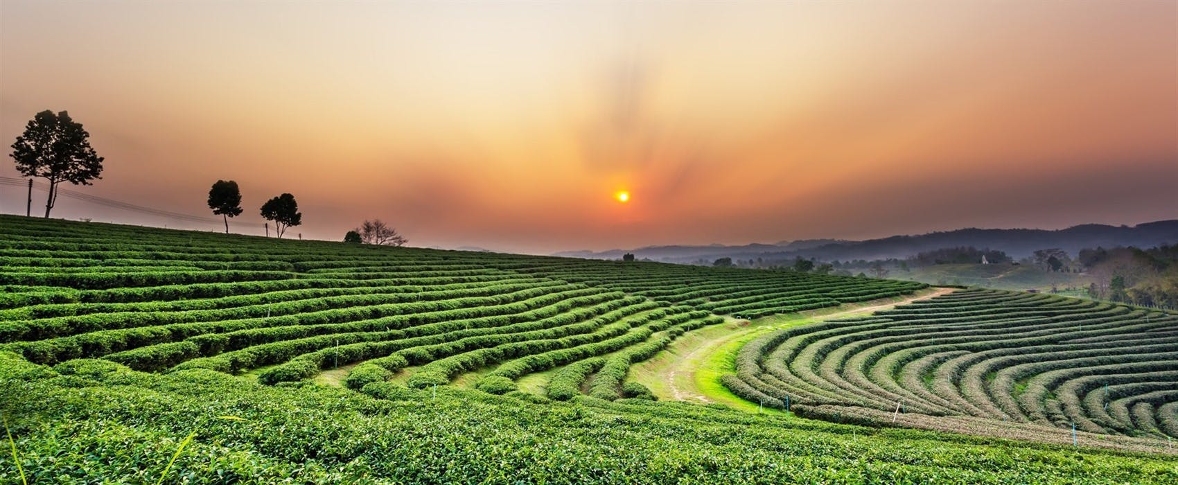 Luxury Chiang Rai Holidays