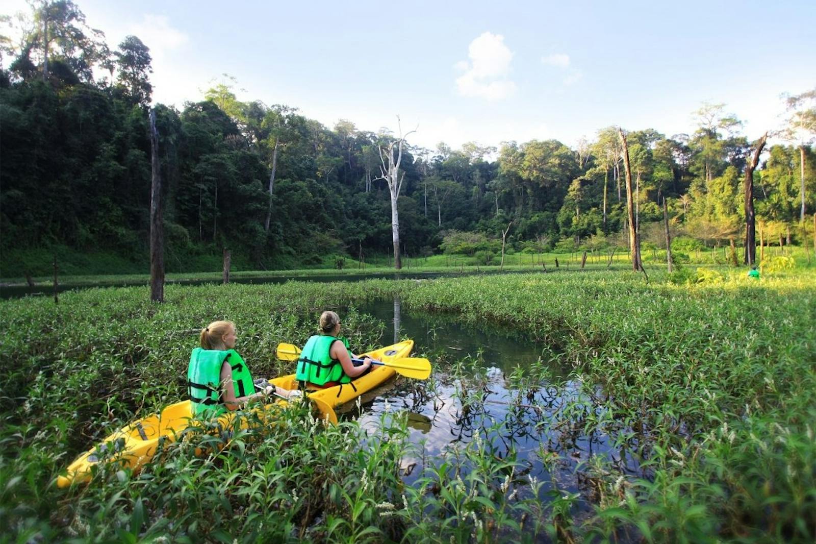 Elephant Hills Rainforest Camp | Luxury Hotel in Khao Sok