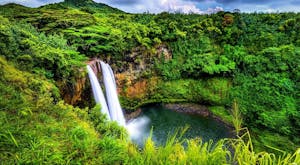 Highlights of Kauai, Maui and Hawaii's Big Island