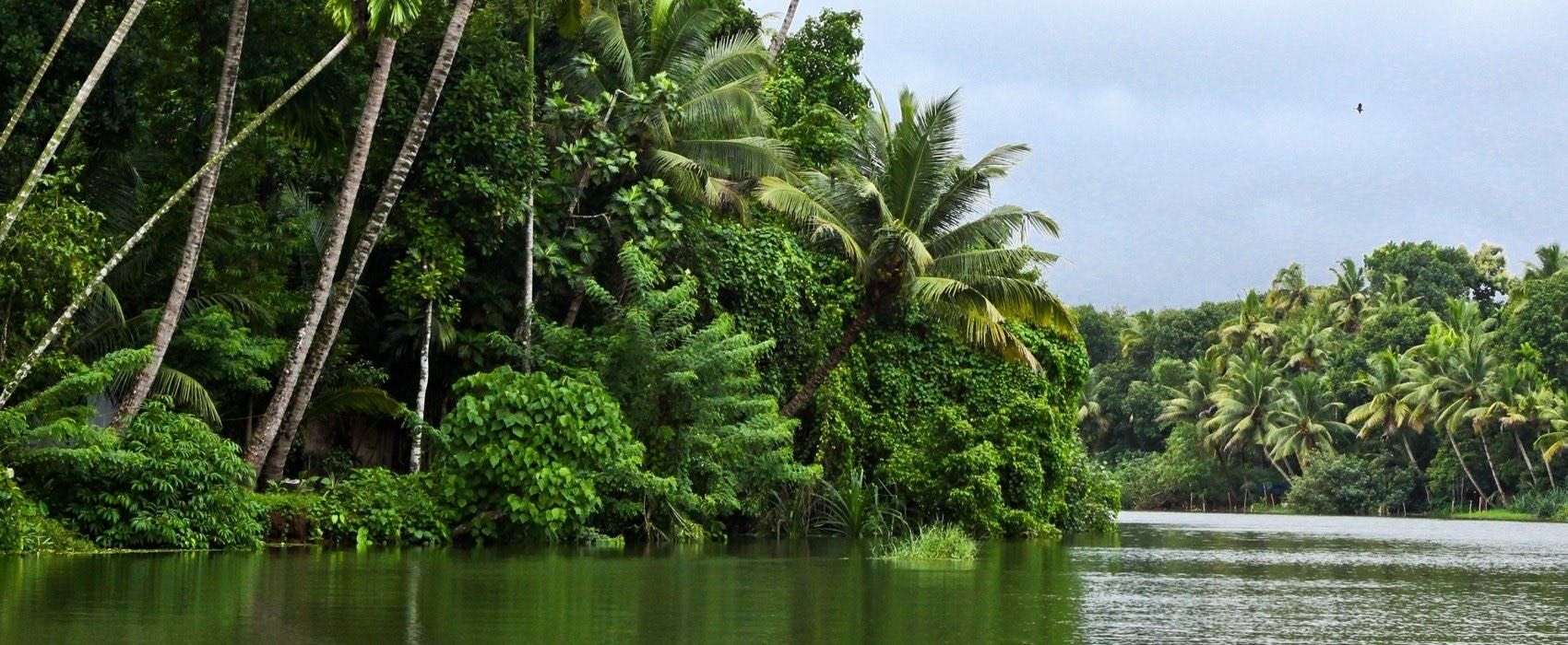 Kumarakom