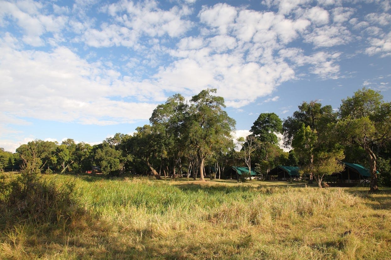 Little Governors’ Camp image 1